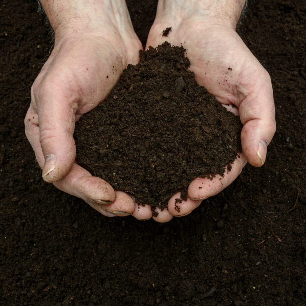 Vermicompost in raybidpura