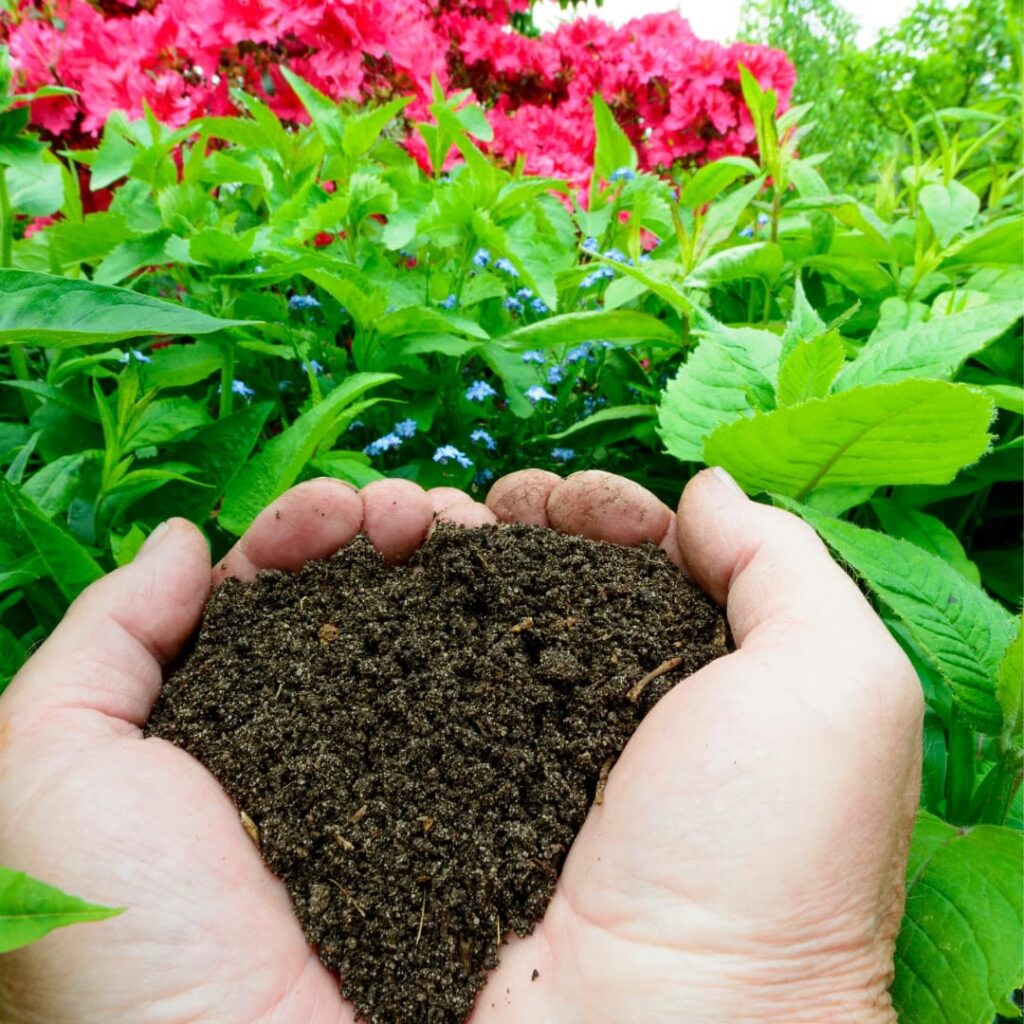 Vermicompost near me