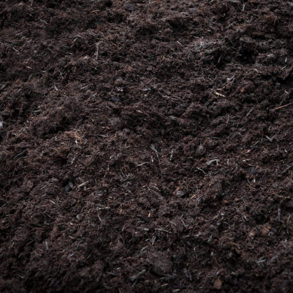 Vermicompost organic fertilizer for 2025