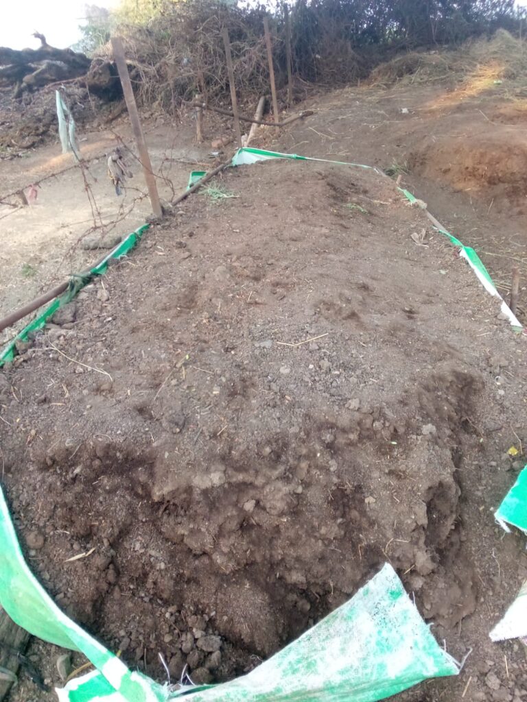 Organic vermicompost