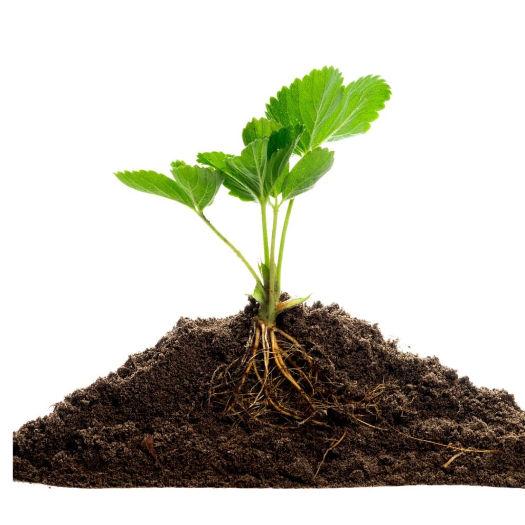 Netural soil enhancer