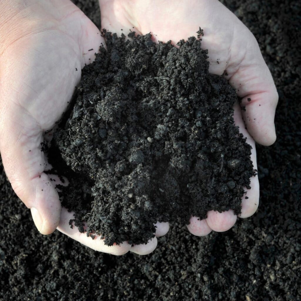 Best vermicompost for plants