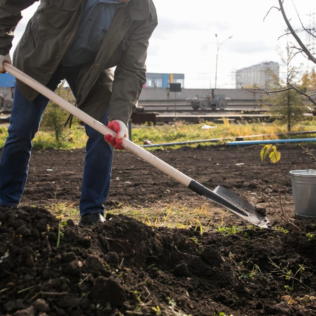 Home vermicomposting