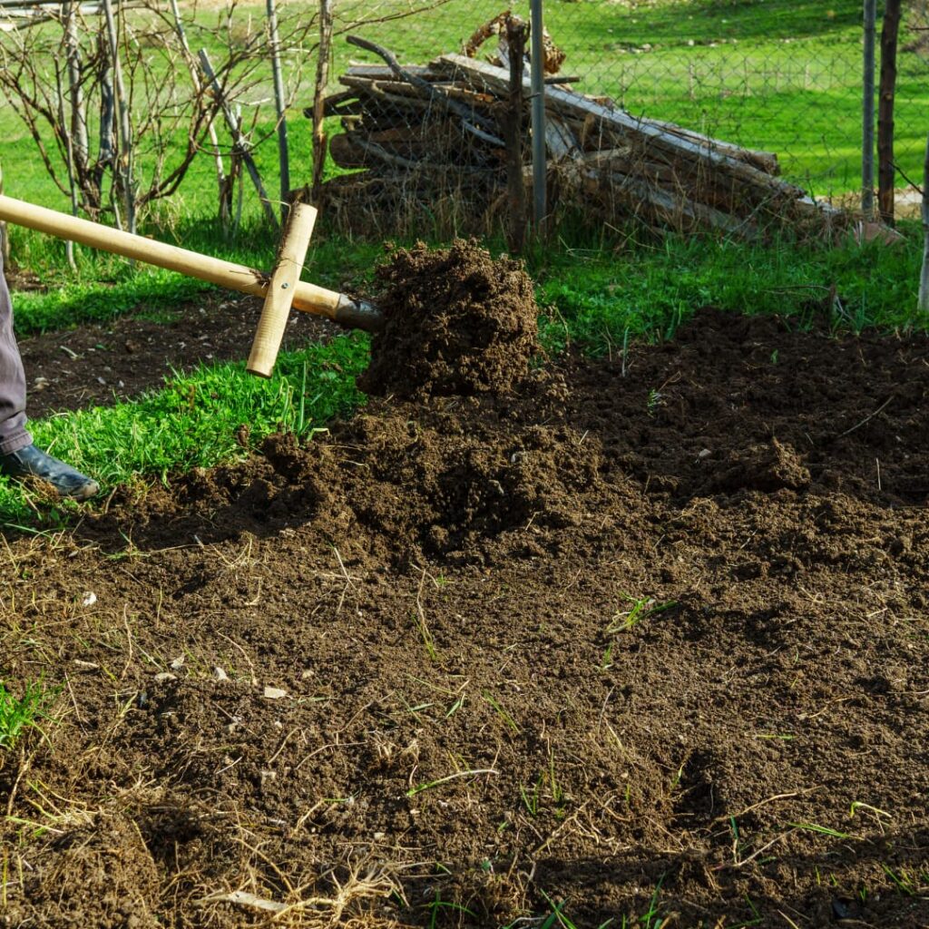 Vermicompost bin setup
