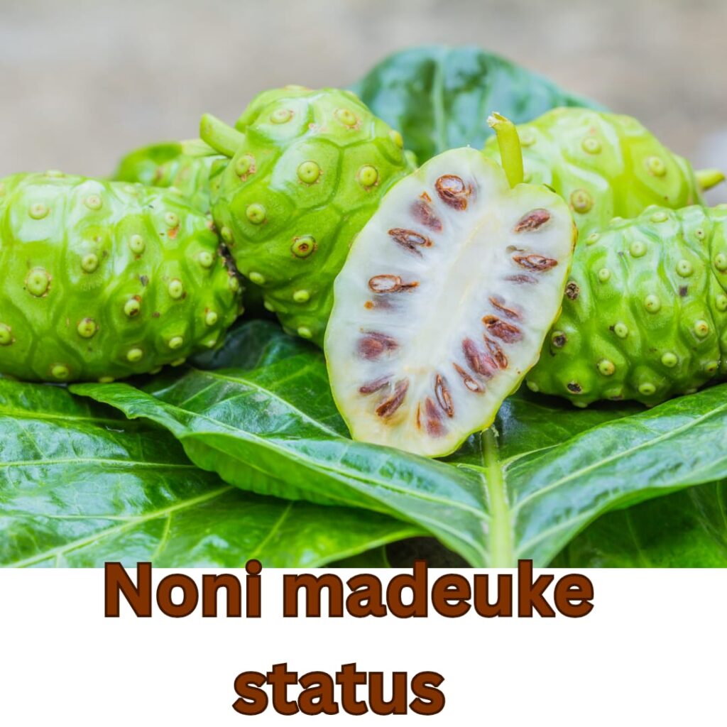 Noni medueke stats