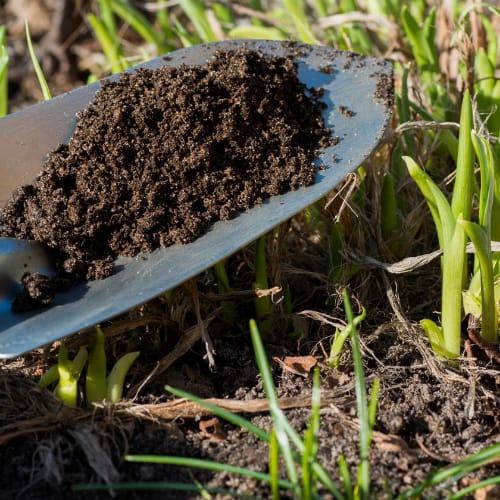 Vermicompost for agriculture