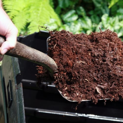 Commercial vermicompost production